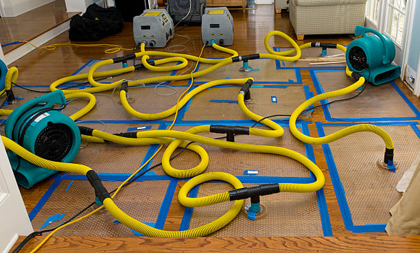 Professional Water Extraction technician working in Richmond Hill, GA